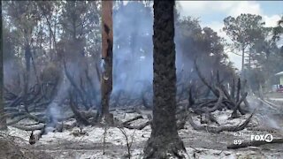 14th Ave Fire in Golden Gate remains at 900 acres and 75% contained (2)