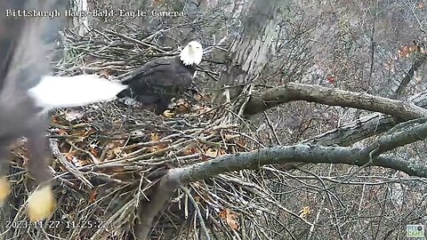 Hays Eagles Cool V flyby with landing gear down, mom watches! (in slomo) 11-27-2023 11:17am
