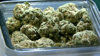 Couple becomes first to apply for marijuana delivery license in Denver
