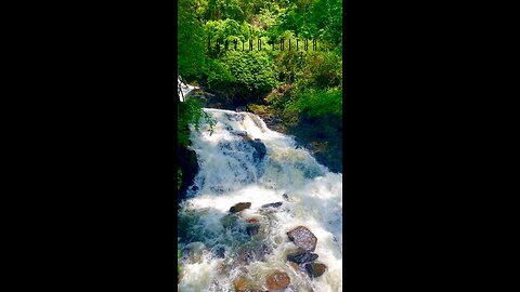 Water Fall River in Kerala