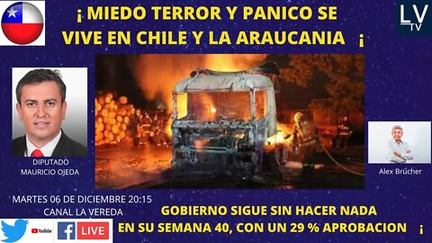 Miedo Terror y Pánico se vive en Chile y La Araucania