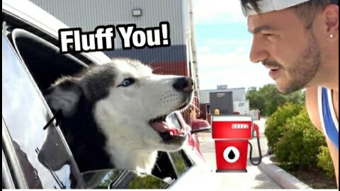 Meeka Yells At Dad At The Gas Station For Taking Too Long (SPEAKS PERFECTLY!)
