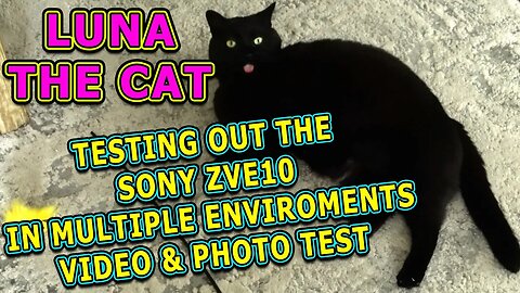 Testing Out The Sony ZVE10! & Luna The Cat!