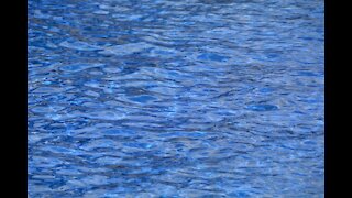 3-year-old drowns in pool in east Las Vegas, police say