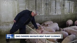 Ohio pork producers look to alternatives while plants close