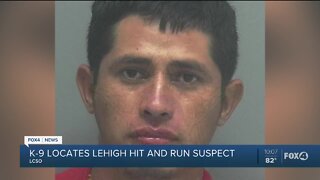 K-9 locates Lehigh hit and run suspect