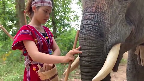 Forest Girl can communicate with an Elephant
