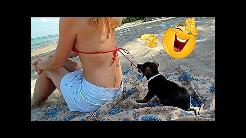 WORLD BEST FUNNIEST🤣 Dog vs men 🤣 funny video> Don't Try Laughing 🤣 clips