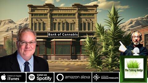 The Cannabis Banker