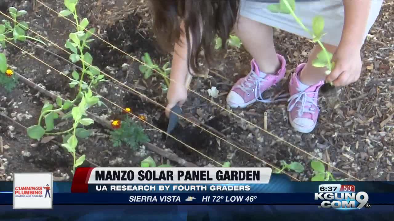 TUSD, UArizona team up for solar panel garden