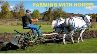 HORSE FARMING