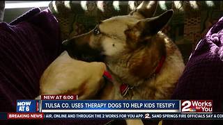 Tulsa County Therapy Dogs Help Kids Testify