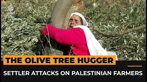 The tree hugger: Settler attacks on Palestinian farmers and their olive trees | Al Jazeera World