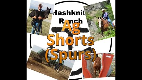 Spurs - Ag Shorts