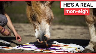 Art student teaches pony how to paint