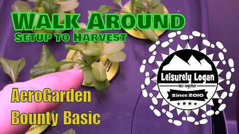 Walk Around: AeroGarden Bounty Basic - From Setup to Harvest