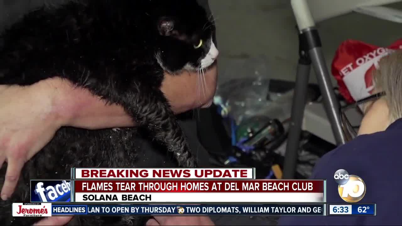 Residents displaced, kittens rescued in fire at Del Mar Beach Club