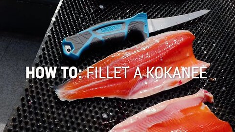 How To Fillet a Kokanee or Trout Quick and EASY!