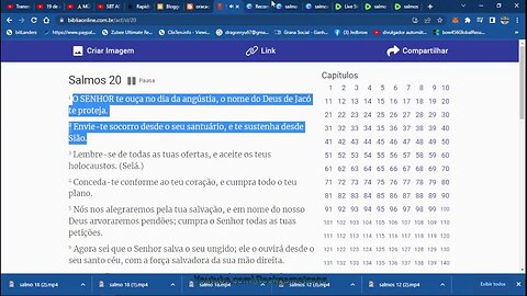 O SALMOS DA BIBLIA 12 ao 20