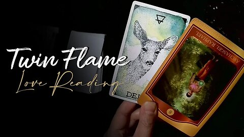 💘Twin Flame Reading🥰 DM waiting for the right time to approach DF - July 31 - August 6