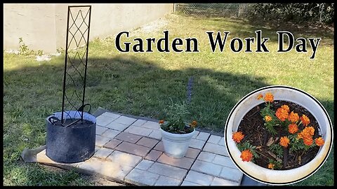 Garden Update: Work Day 03/11/23