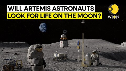 NASA scientist admits that the Moon 'might already have life on it'