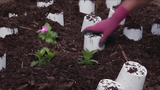 Mulching made easy