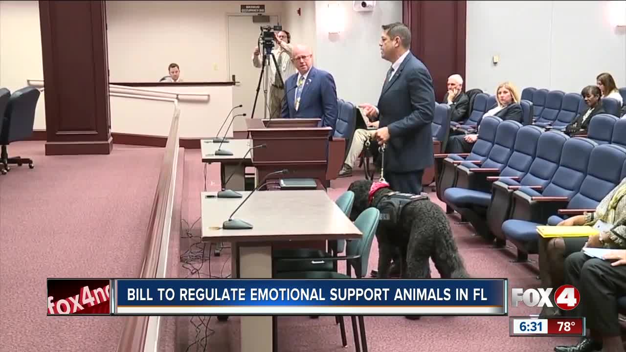 Florida bill combating abuse of pets as emotional support animals makes headway