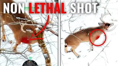 Big Buck Non Lethal, Thermal Drone Deer Recovery