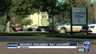 Arvada woman says apartment rat infestation is ruining her life