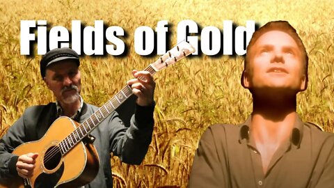 Fields of Gold - Sting - guitar lesson - live stream