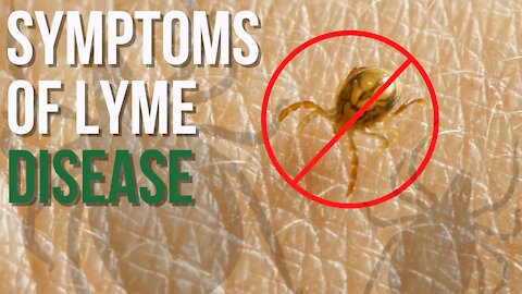 Symptoms of Lyme