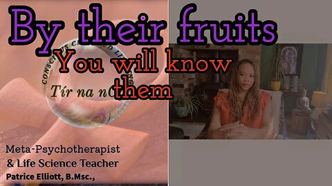 By their fruits you will know them | Ascension Alchemy | Motivational Talk | Patrice Elliott