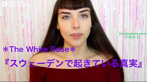 The White Rose『スウェーデンで起きている真実』〜What's REALLY Going On In Sweden?〜【2017年】