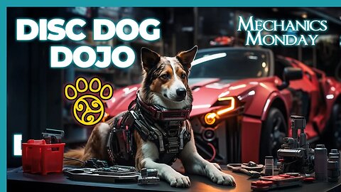 Mechanics Monday: Performance Envelopes, Clean Hoops, Trigger Process | DiscDog Dojo #121 🐶🥏🥋🔧