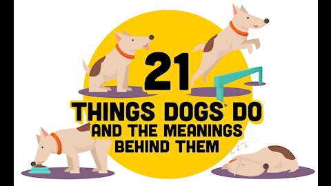 21 Jaw-Dropping Facts about Dogs