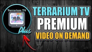Terrarium Tv Plus - Is It a SCAM????