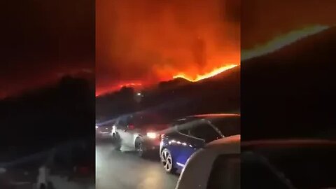 Algeria Forest Fire