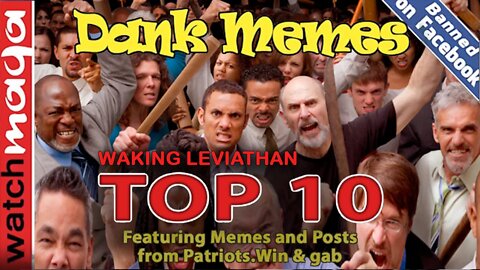 Waking Leviathan: TOP 10 MEMES