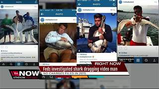 Feds investigated shark dragging video man
