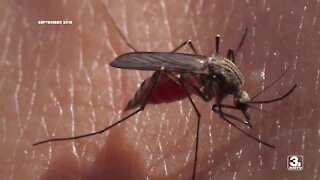 Douglas County Health Dept. reports first West Nile Virus case this year