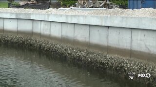 Contractor says change in regulation could double the cost of sea walls on Marco Island