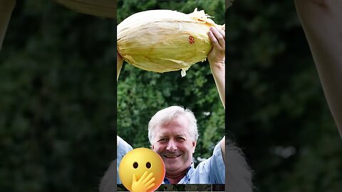 Watch Gardener in England grows nearly 20 pound onion #shorts