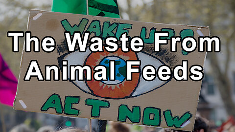 The Waste From Animal Feed Lots Rich in Nitrogen Is Not Treated Adequately, Causing Significant