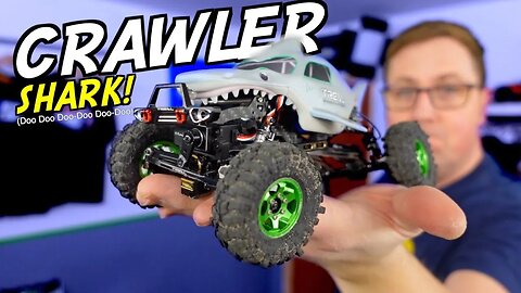 The COOLEST Mini RC Crawler you’ll see this Year! (Maybe)