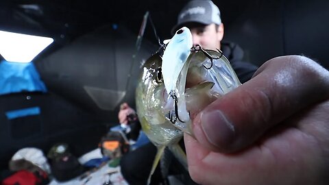 My Favorite Ice Fishing Lure for Crappie (Crappie Fishing in January)