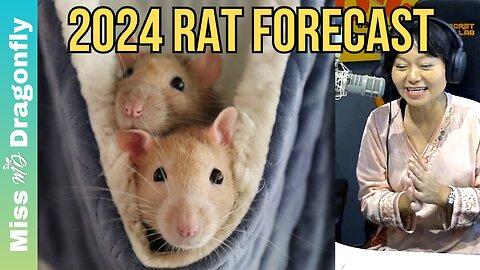 2024 Year Of The Dragon Zodiac Forecast | RAT