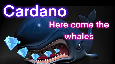 Cardano Waking Up Whales