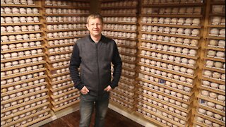 Cedarburg man to donate more than 900 Brewers autographed baseballs to charity