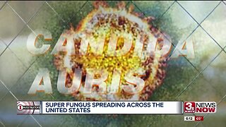 Deadly Fungus Spreading Across Country